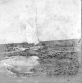 Shamrock about to let go the towline. November 1899.