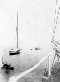 1084-Shamrock I and Shamrock II viewed from Mr Ratsey's yacht. May 1901.