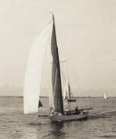 GW-Syce2