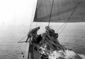 186-Tacking in the canvas wings, Shamrock IV. 1920.