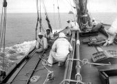 197-Shamrock IV, under sail. 1920.