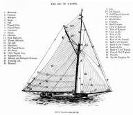 Sloop